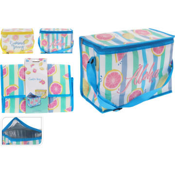 SAC GLACIERE 10L MOTIF...