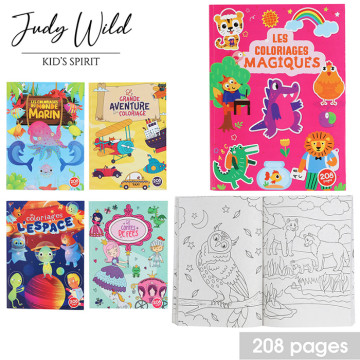 ALBUM A COLORIER 208 PAGES...